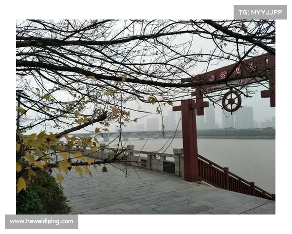 北美洲杯赛历史上令人热血沸腾的经典瞬间与永恒记忆